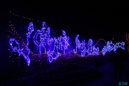 まんのう公園ウィンターファンタジー2013