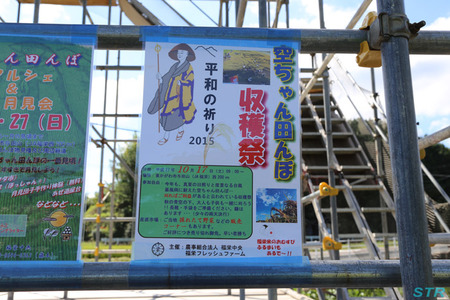 空ちゃん田んぼ2015