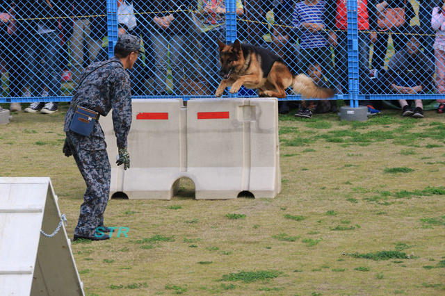 芦屋基地航空祭2015