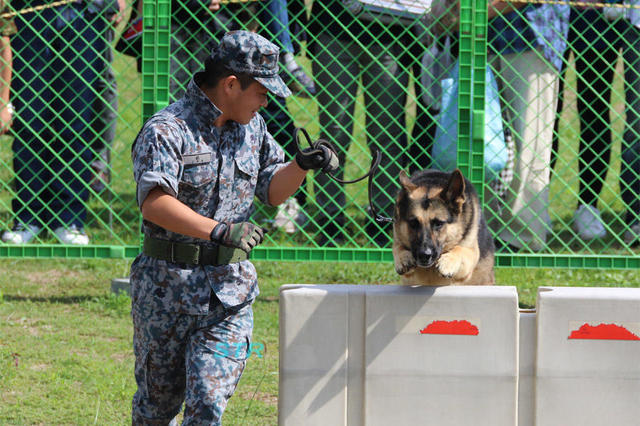 芦屋基地航空祭2016
