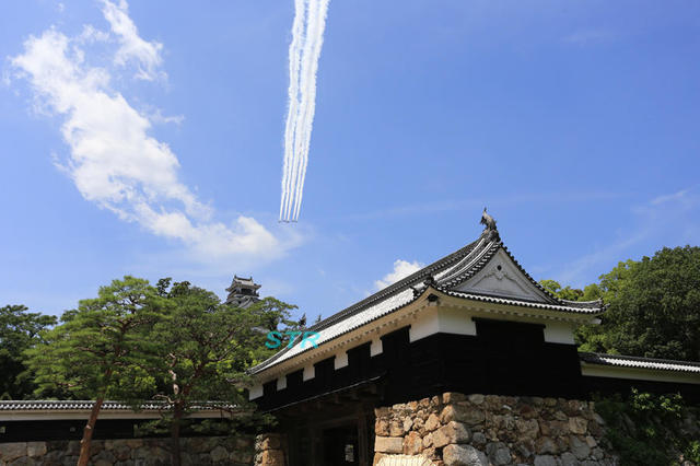 第65回よさこい祭りブルーインパルス展示飛行 前日予行