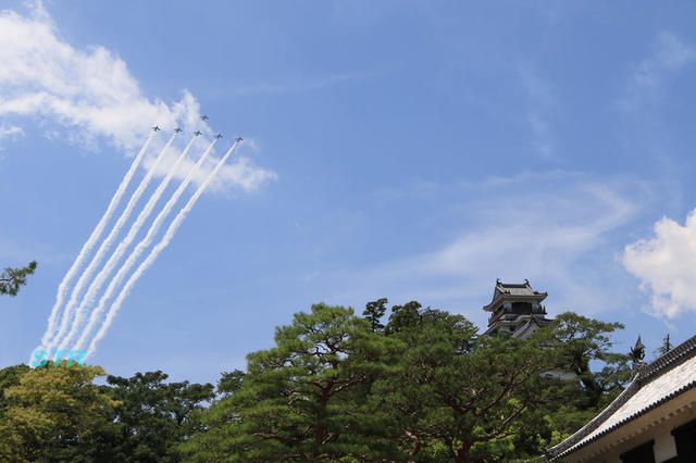 第65回よさこい祭りブルーインパルス展示飛行 前日予行
