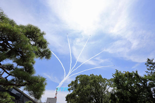 第65回よさこい祭りブルーインパルス展示飛行 前日予行