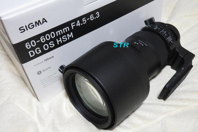SIGMA 60-600mm F4.5-6.3 DG OS HSM Sports 購入
