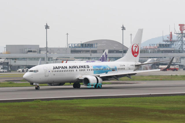 JAL 特別塗装機 「なつぞらジェット」
