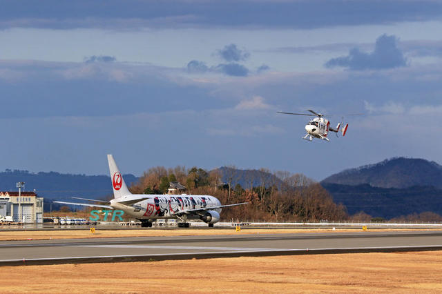 JAL 特別塗装機「JALドリームエクスプレス90」