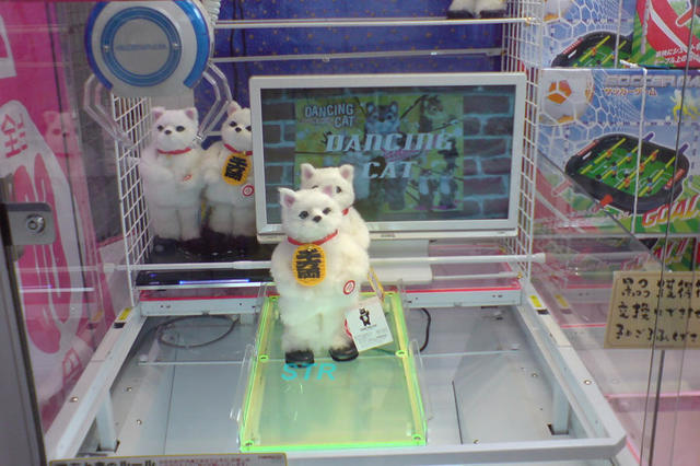 ダンシングキャット招き猫バージョン ゲット