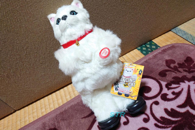 ダンシングキャット招き猫バージョン ゲット