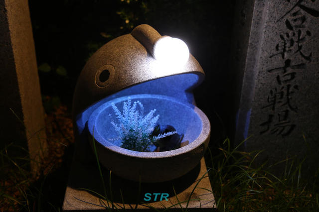 むれ源平石あかりロード2019