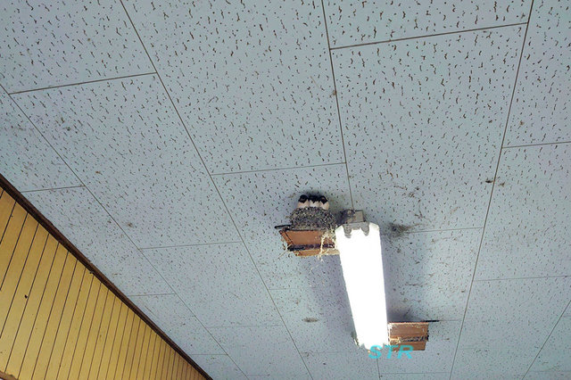 コインスナック御所24へ行ってきた