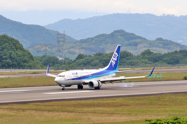 ANA ボーイング737-700 退役記念デカール機を見る