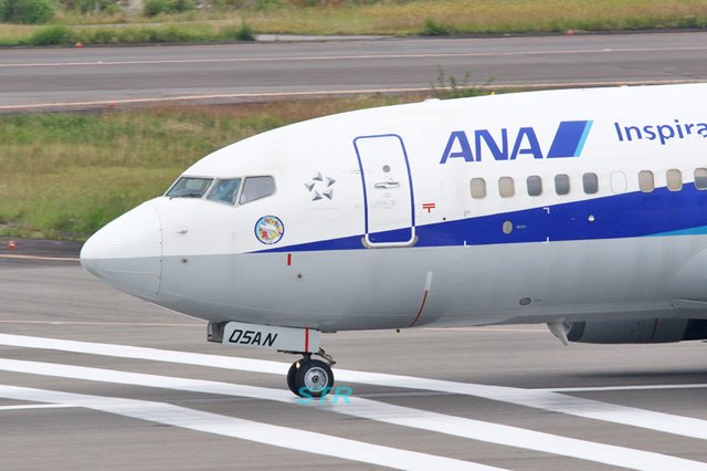 ANA ボーイング737-700 退役記念デカール機を見る