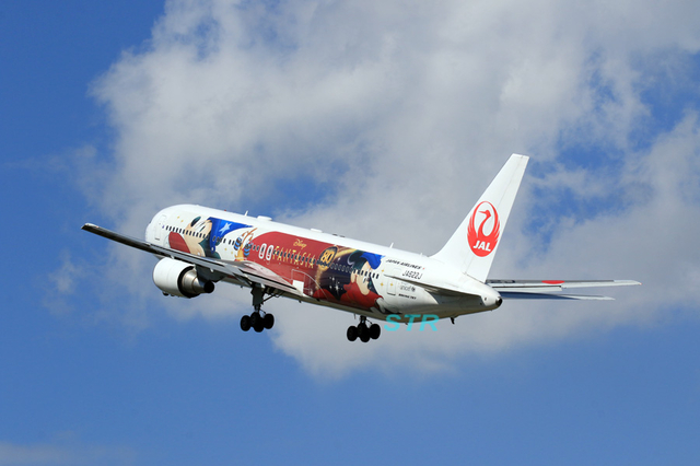 JAL特別塗装機「ドリームエクスプレスファンタジア80」