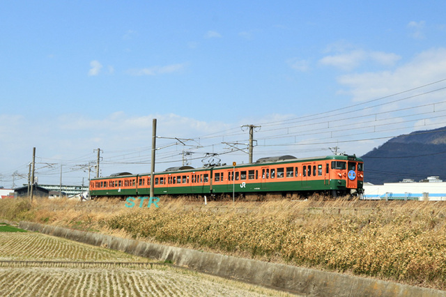 帰ってきた!115系せとうち国鉄型の軌跡