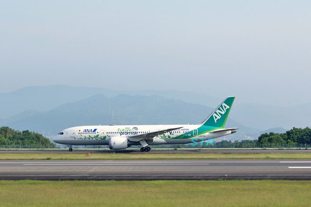 ANA グリーンジェットを見る