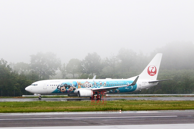 JAL特別塗装機 「JAL Jubilee Express」