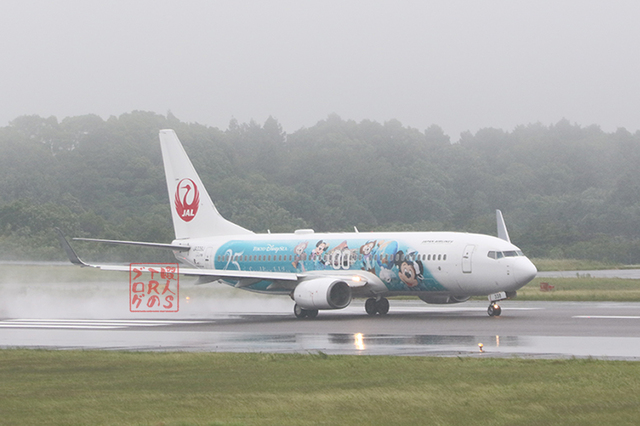 JAL特別塗装機 「JAL Jubilee Express」